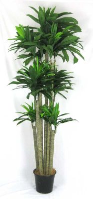 Artificial indoor plants brisbane